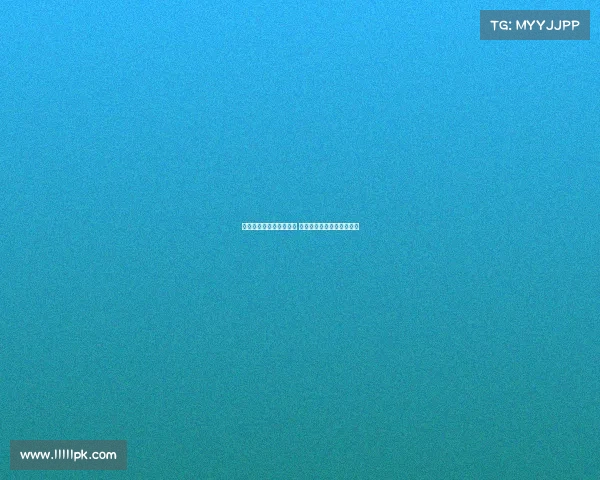 德甲夏季转会窗即将关闭 多支球队加速引援争夺新星