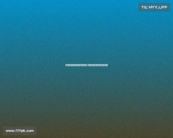 热带雨林探险赛巴西队勇夺三连冠 展现无与伦比的团队精神与实力